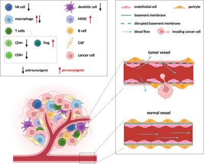 Effects of metabolic cancer therapy on tumor microenvironment